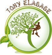 Création de logo pour Tony Elagage